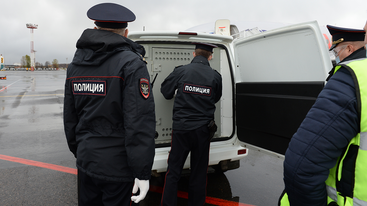 Ирина Волк: Благодаря взаимодействию по каналам Интерпола полицейскими задержан россиянин, который обвиняется в мошенничестве
