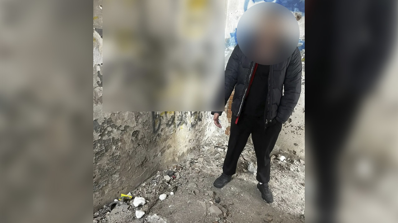 Жителя Ачинска, который покалечил пса после того, как его приютил, осудят за жестокое обращение с животным