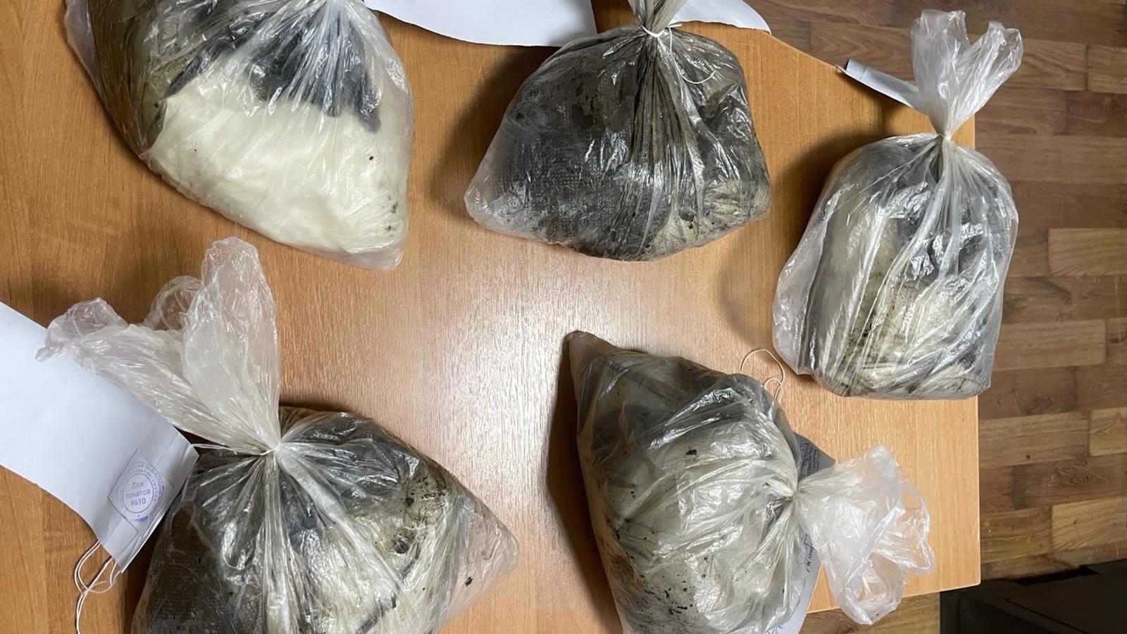 Полицейские Ингушетии задержали наркосбытчиков, разложивших по тайникам в республике 5 кг мефедрона