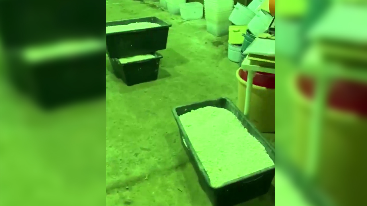 В суд Санкт-Петербурга отправятся участники группы, изготовившие более трёх тонн «синтетики»