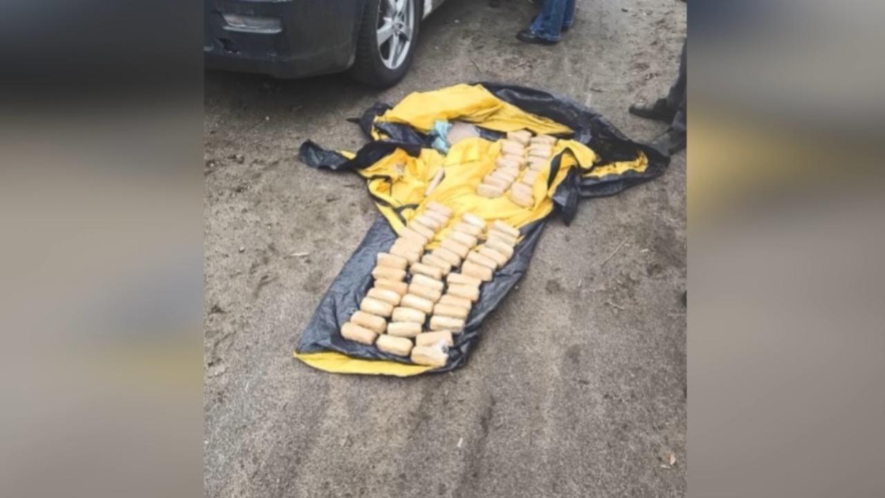 В Новгородской области маскировавшиеся под туристов наркокурьеры задержаны при перевозке 15 кг спайса