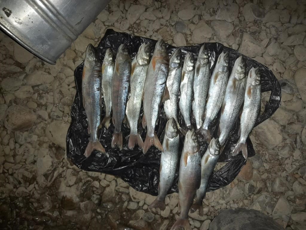 Транспортные полицейские Забайкалья пресекли вылов краснокнижной рыбы запрещённым способом