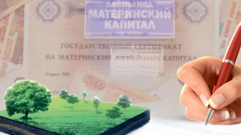 Серые схемы на зелёных полях