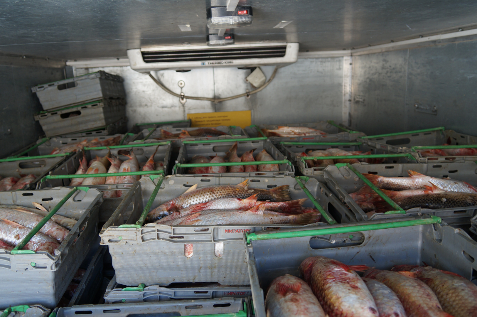 Свыше 9 тонн нелегальной рыбной продукции изъято транспортной полицией у ростовского бизнесмена