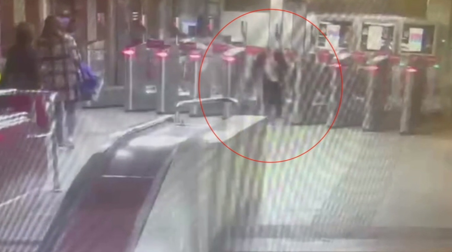 Полицией столичного метро задержан хулиган, разбивший створки турникета на станции «Царицыно»