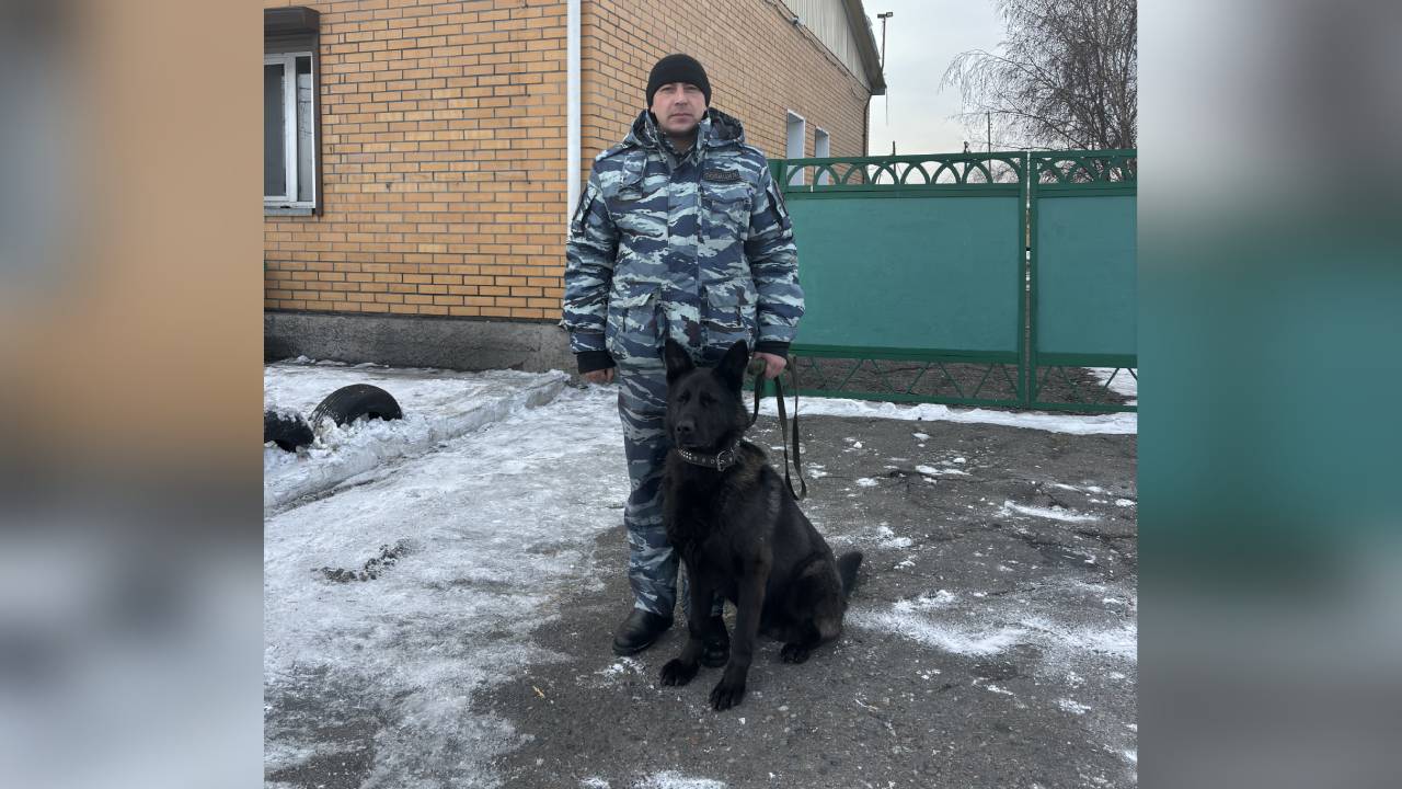 В Туве служебная собака помогла полиции раскрыть кражи имущества из двух домовладений в Кызыле