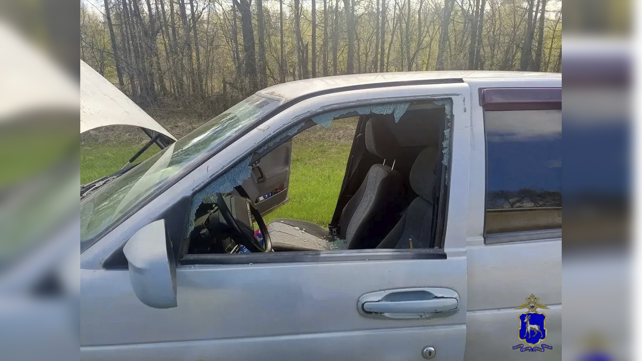 В Самарской области автоинспекторы задержали мужчину, попытавшегося угнать машину грибников