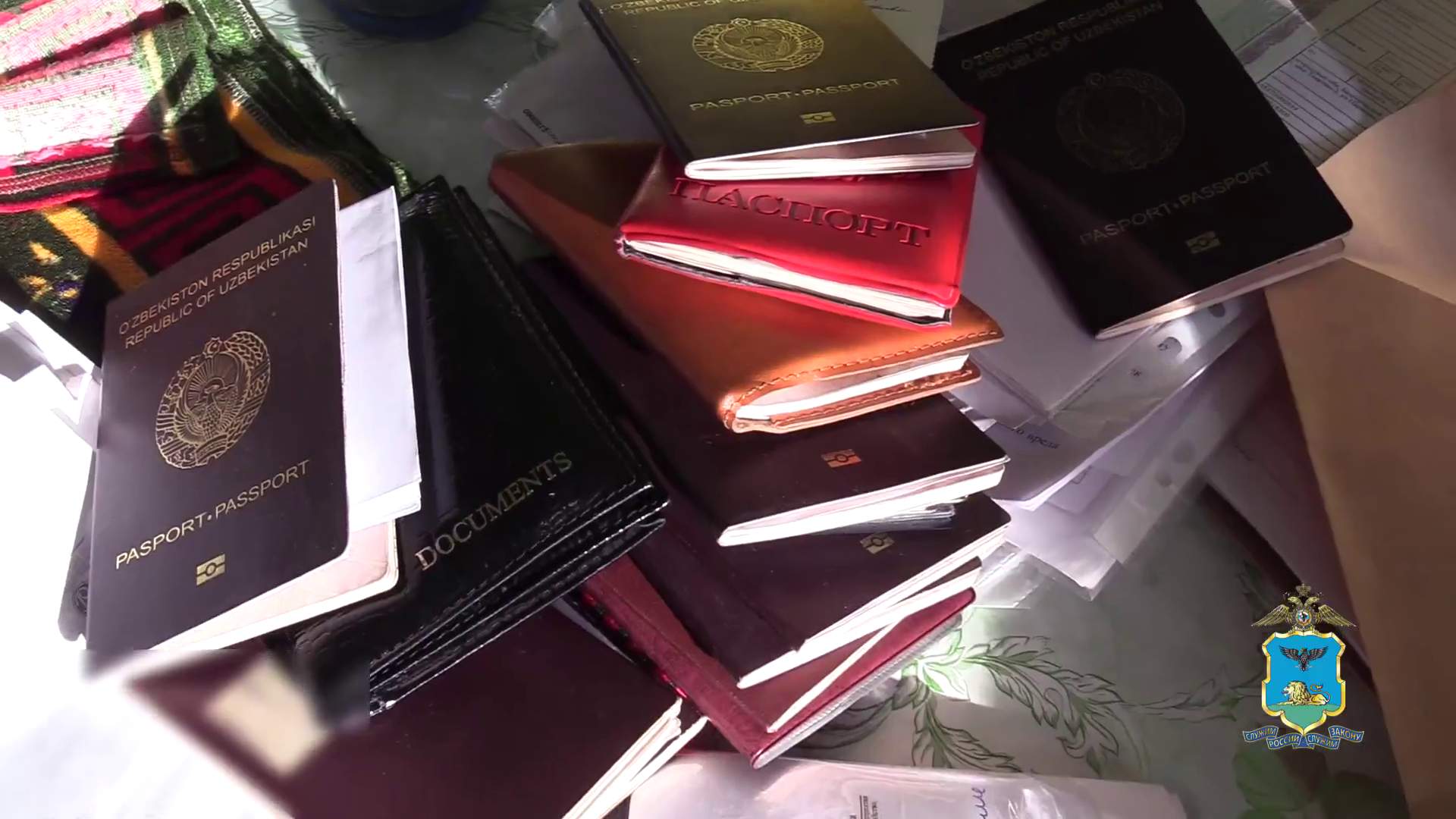 Полиция Белгородской области пресекла канал незаконной легализации мигрантов в России