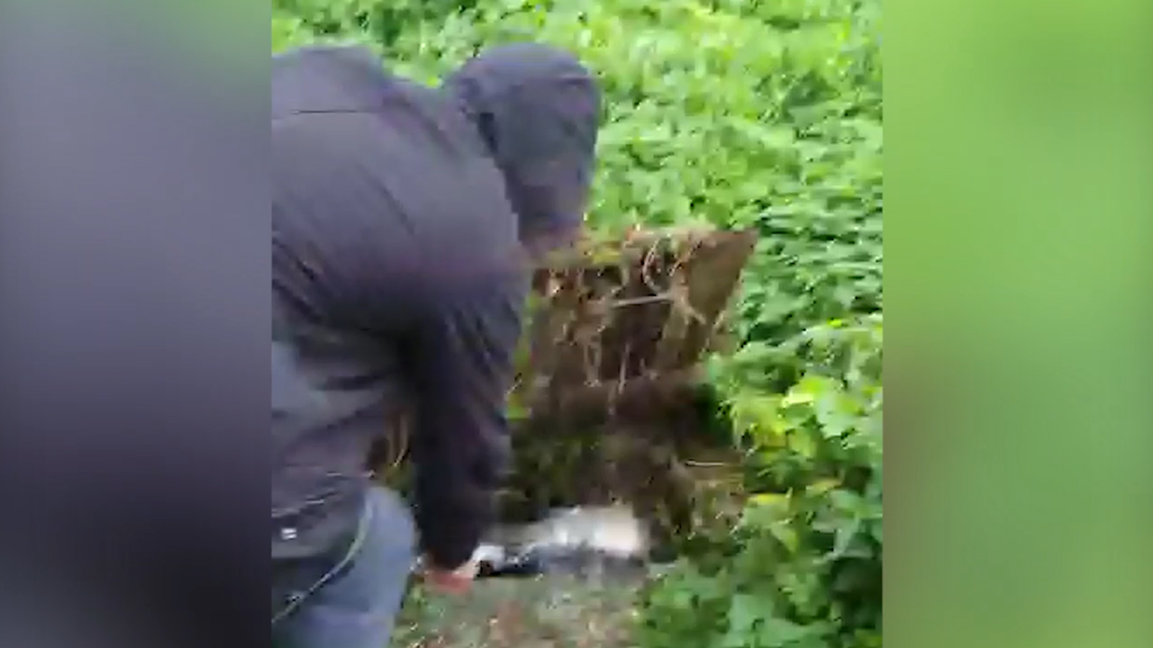 В Калининградской области полицейские раскрыли кражу оружия у охотника