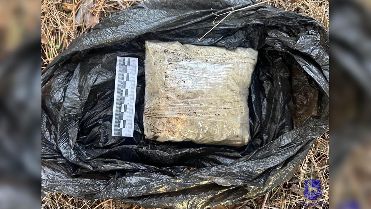 К тюремному сроку приговорён бывший детский педагог из Тольятти, уличенный полицией в сбыте наркотиков