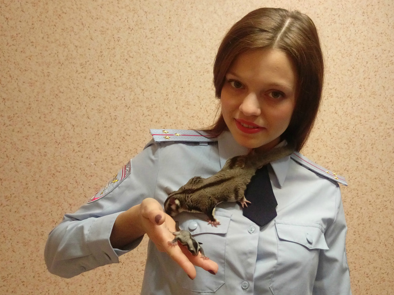 Психологи из отряда сумчатых