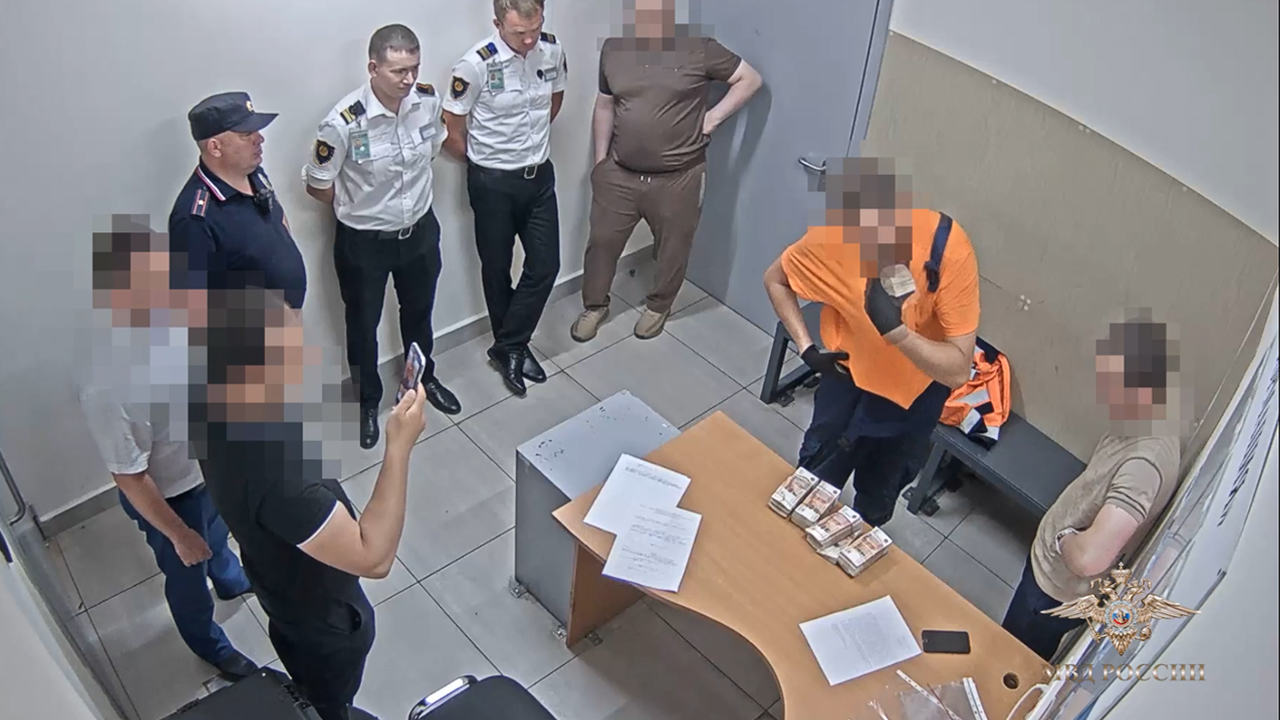 Ирина Волк: В аэропорту Шереметьево полицейские задержали подозреваемого в хищении 21 млн рублей
