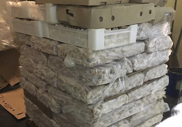 В Санкт-Петербурге пресечена деятельность контрабандистов субпродуктов домашней птицы