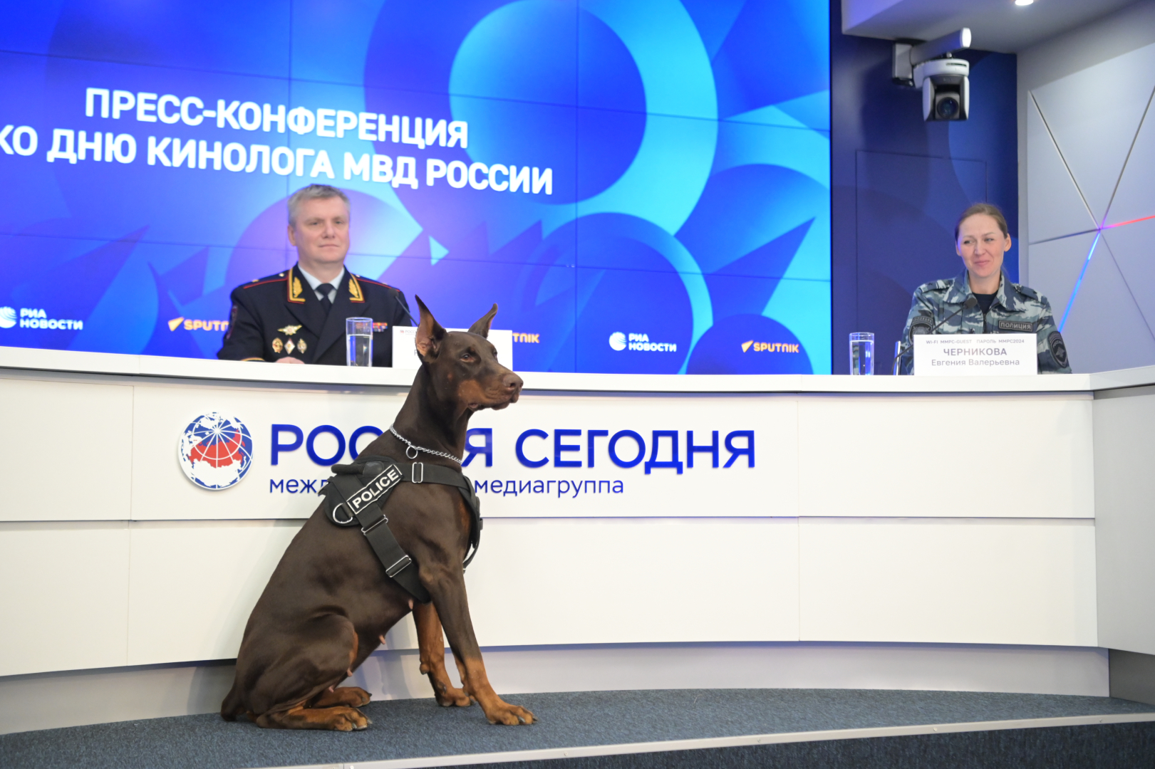 В Москве состоялась пресс-конференция, приуроченная ко Дню кинологических подразделений Министерства внутренних дел Российской Федерации
