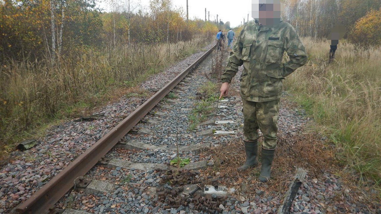 В Смоленской области транспортными полицейскими раскрыта кража железнодорожного полотна