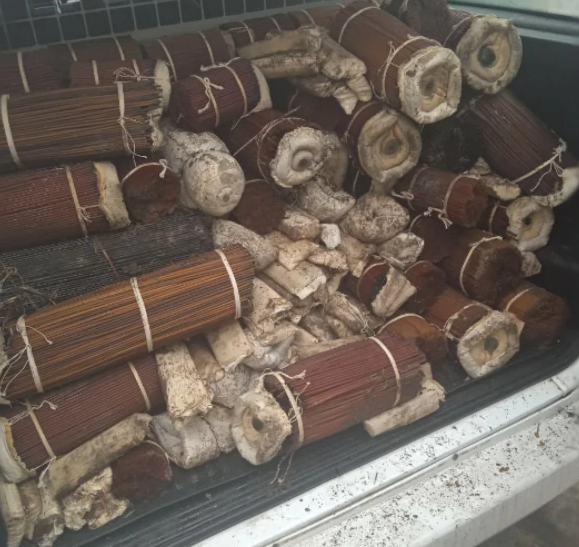 Полицейские в Херсонской области нашли свыше 280 бухт артиллерийского пороха весом более тонны