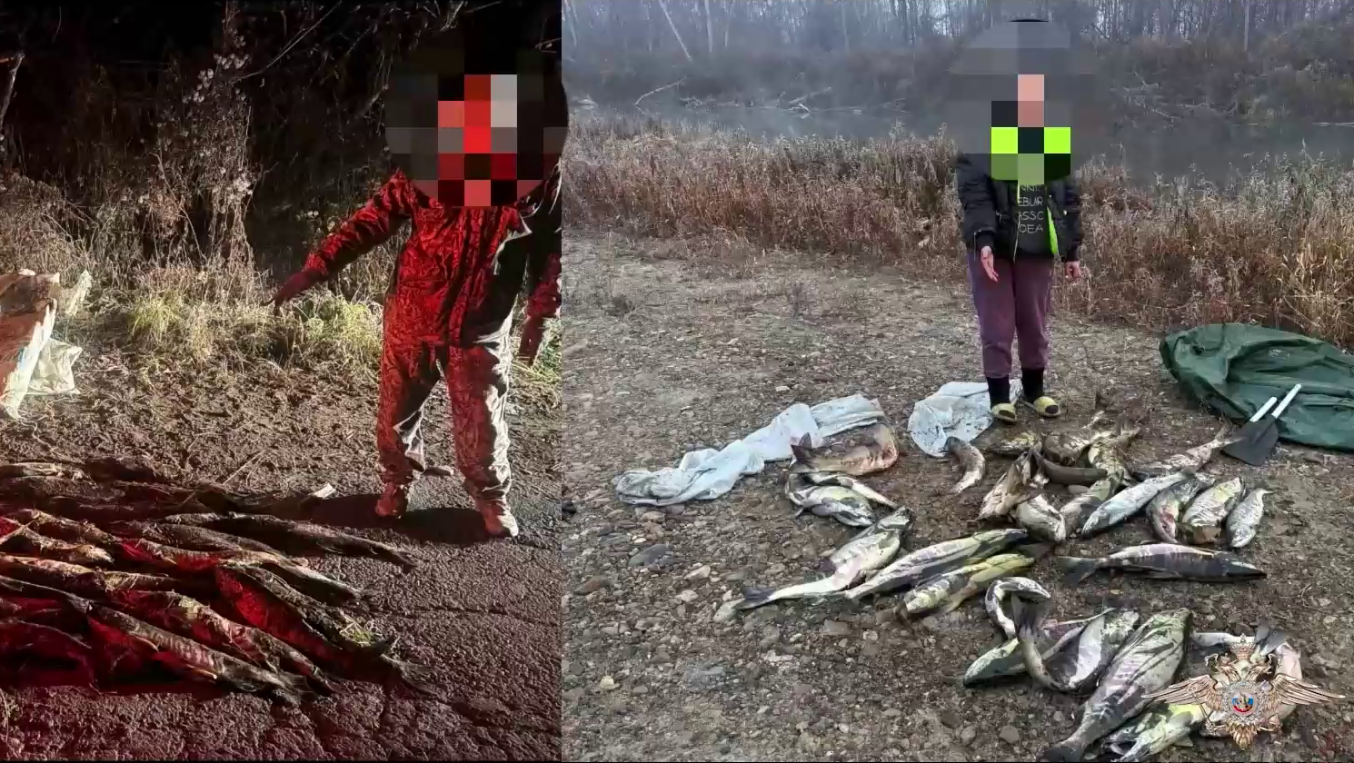 Ирина Волк: В Приморском крае полицейские подвели итоги межведомственной операции «Путина-2025»