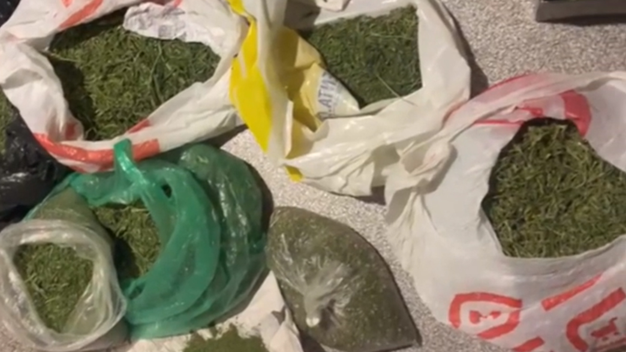 В Саратове полицейскими из незаконного оборота изъята крупная партия марихуаны