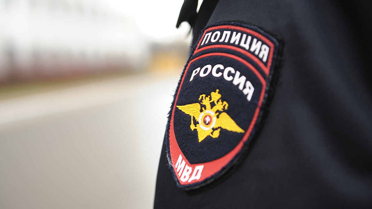 Ирина Волк: В Московской области полицейские задержали подозреваемых в нападении на журналиста