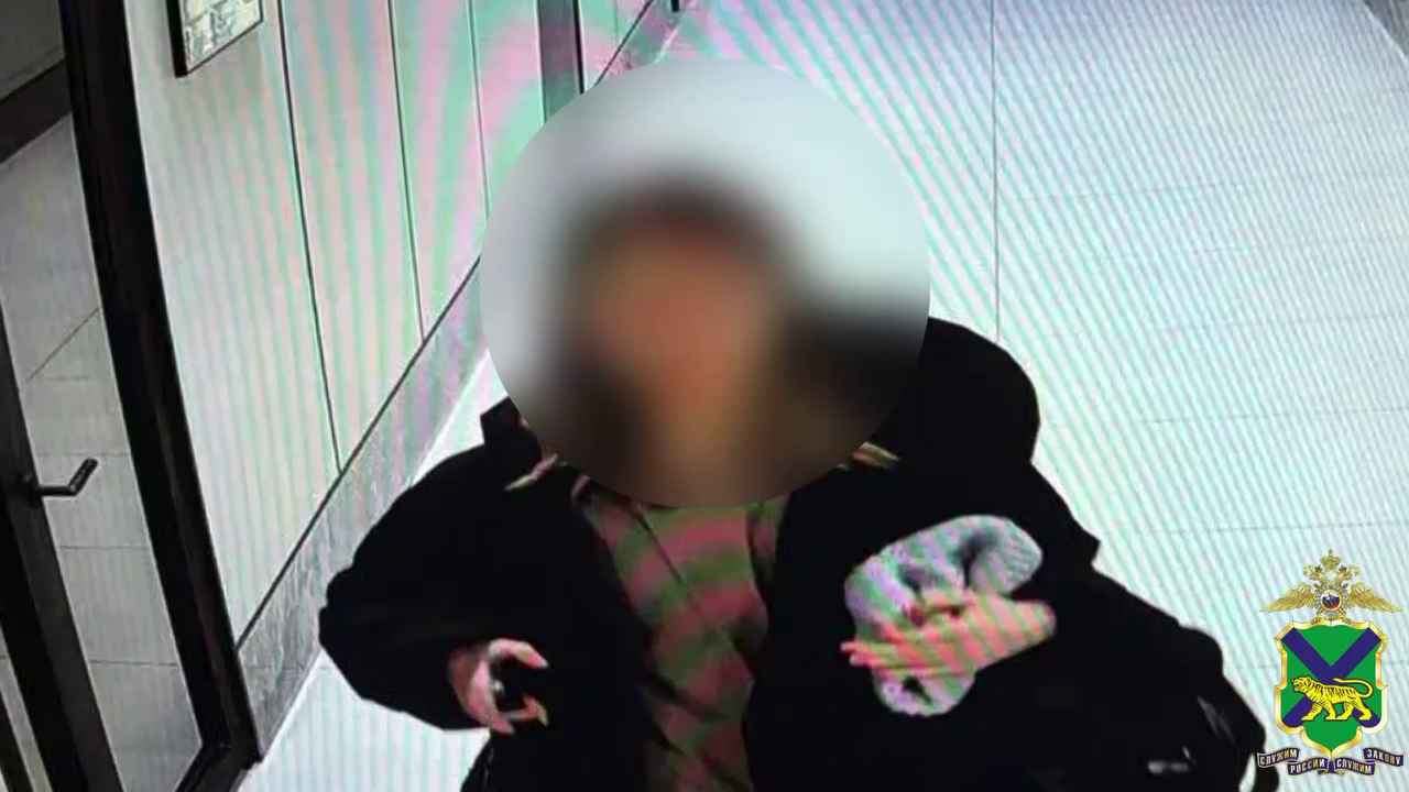 Во Владивостоке заключена под стражу москвичка, по указанию аферистов вскрывшая сейф в чужой квартире