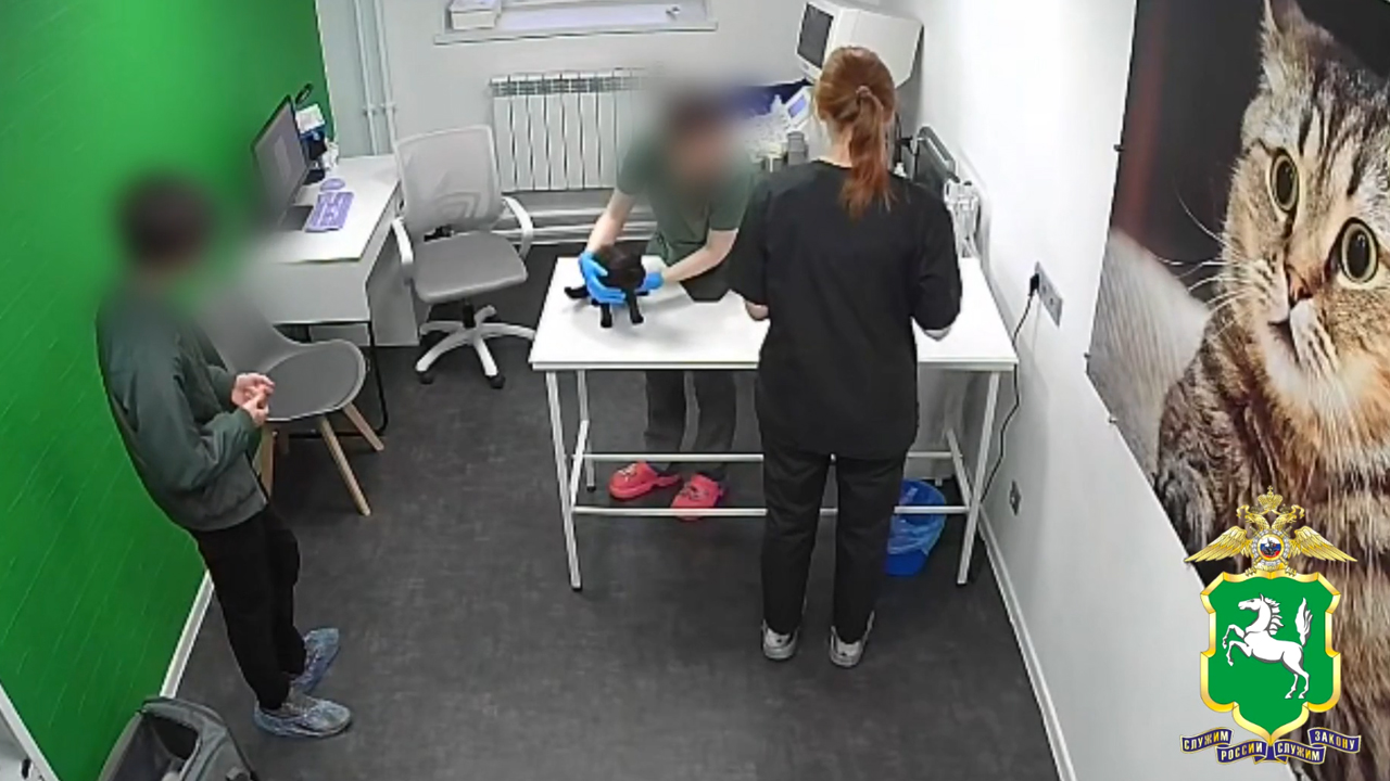 Полицейские в Томске задержали подозреваемого в жестоком обращении с животными