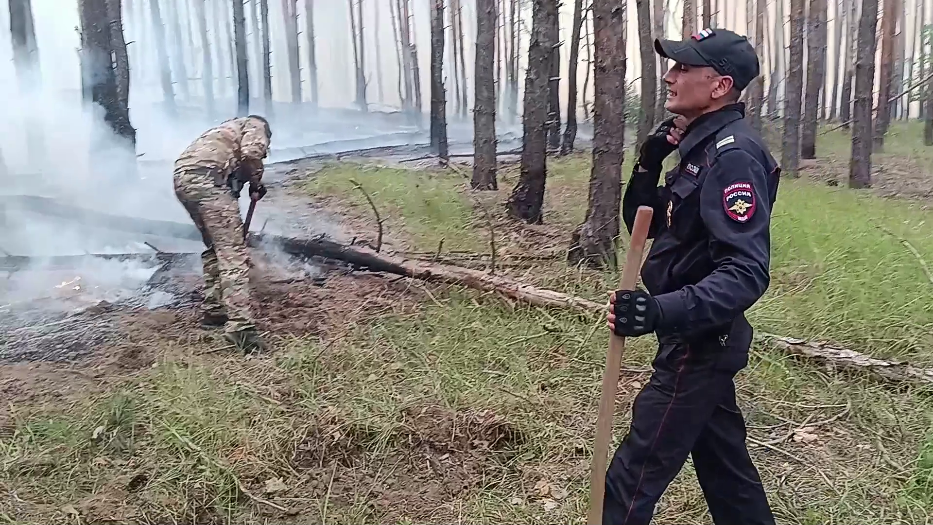 В ЛНР полицейские помогли огнеборцам потушить пожар в лесном массиве вблизи посёлка Боброво
