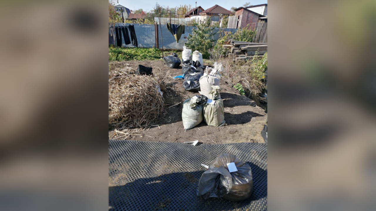 В Приамурье у жителя г. Белогорска полицейские изъяли около 58 кг марихуаны и гашишное масло