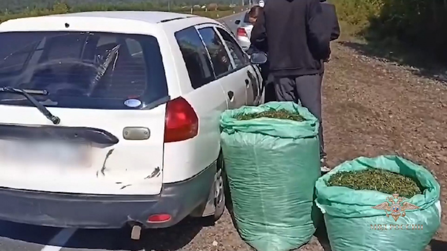 Полицейские не позволили злоумышленникам ввезти в Читу более 100 килограммов конопли