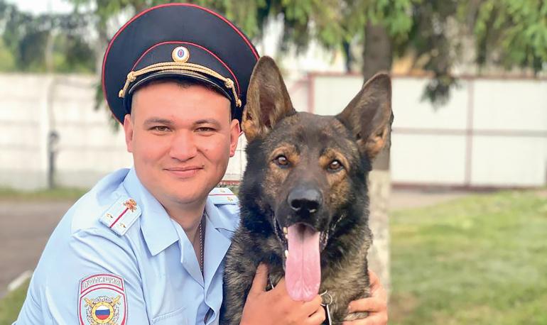 Разозлить одним взглядом
