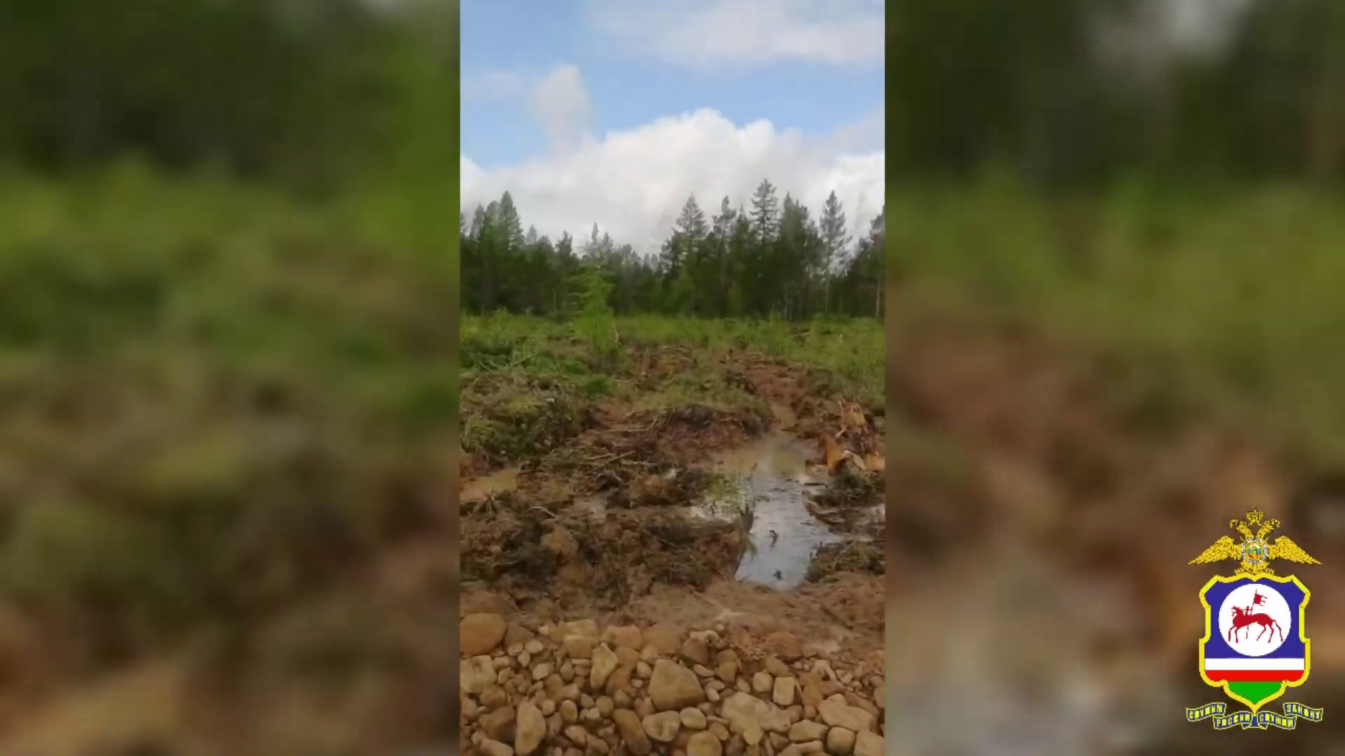 В Якутии следователями возбуждено уголовное дело по факту незаконного повреждения лесных насаждений