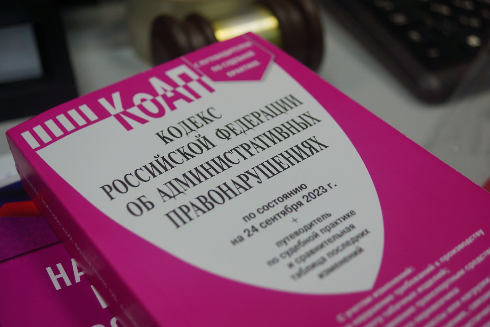 Двое суток ареста назначено авиапассажирке, оскорблявшей полицейских в аэропорту Сургута
