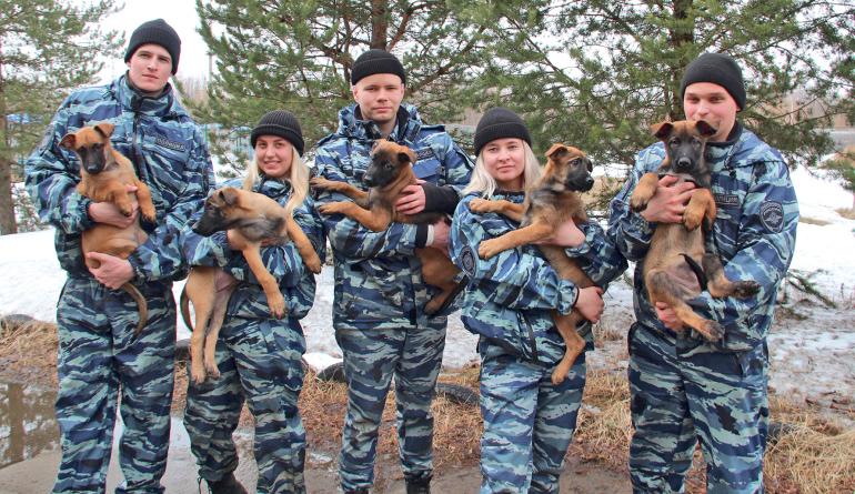 Подрастает хвостатая смена