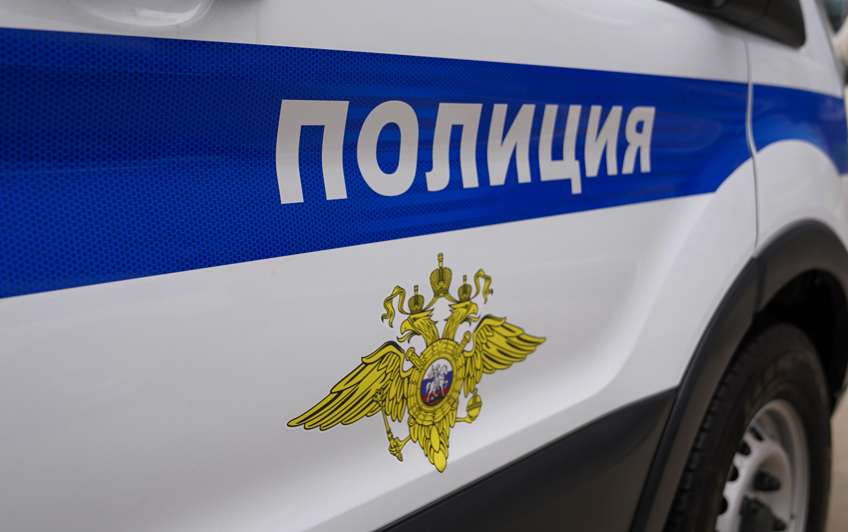 В Новосибирске полицейские выясняют обстоятельства уличного конфликта, попавшего на видео