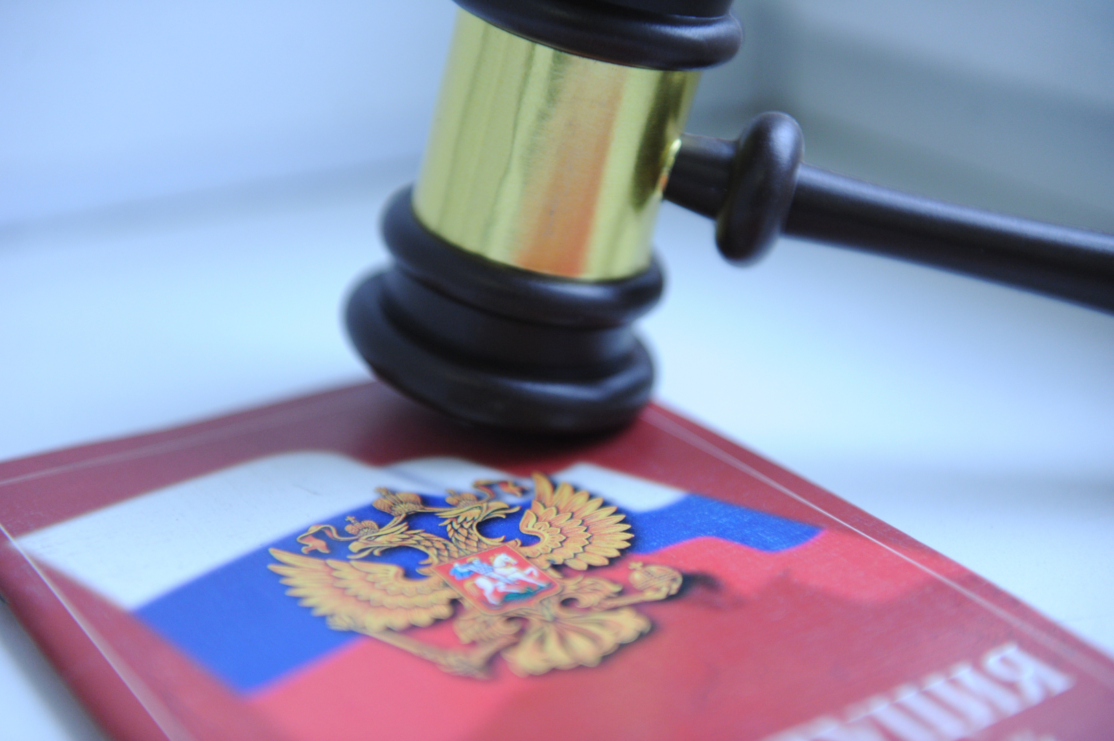 Ирина Волк: В Санкт-Петербурге перед судом предстанут лжеброкеры, обвиняемые в мошенничестве