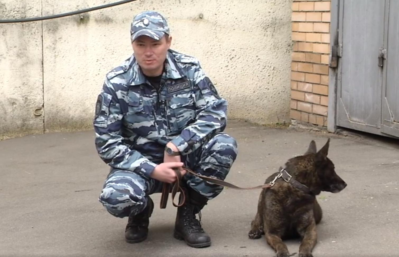 В Москве задержаны подозреваемые в ограблении и вооружённом нападении на прохожих