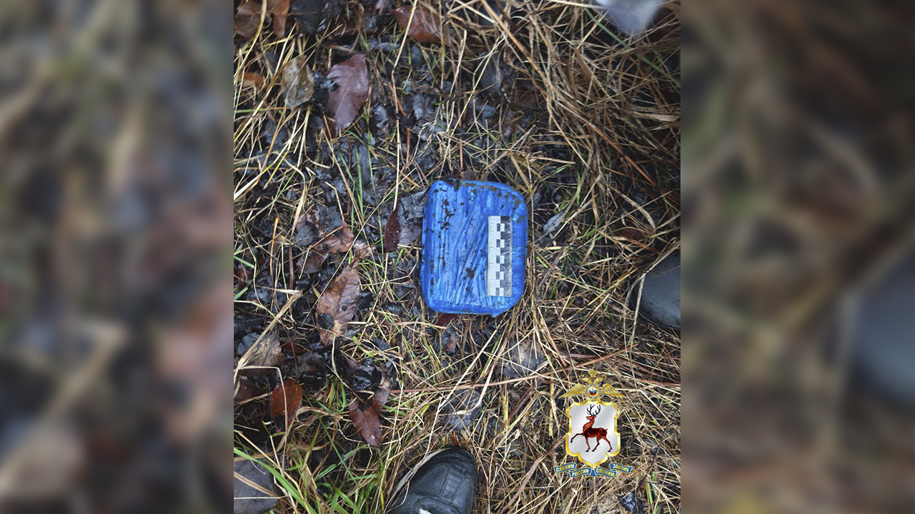 В Нижегородской области 46-летний агент по туризму заподозрен в покушении на сбыт 1 кг амфетамина