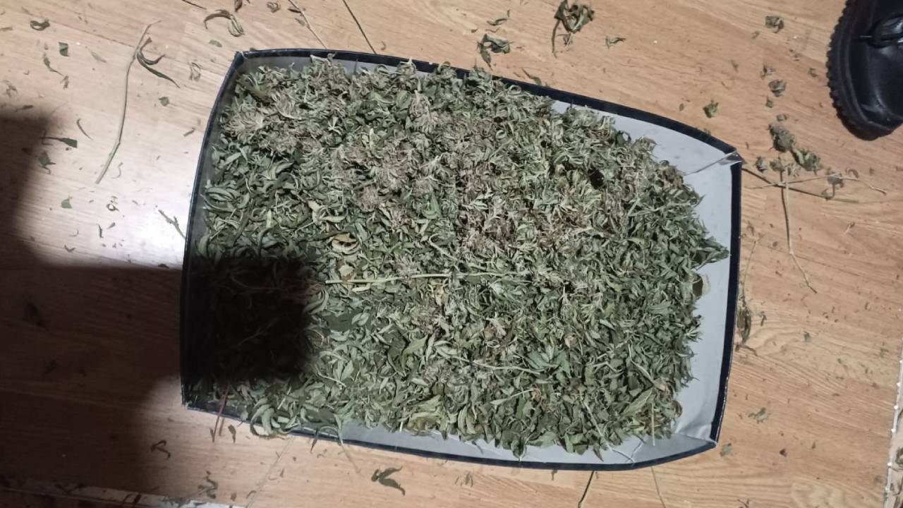 У сельчанина-наркоагронома из Оренбургской области полицейские изъяли более 3 кг конопли и марихуаны