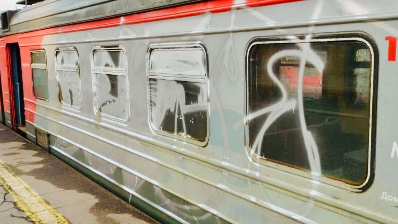В Подмосковье транспортные полицейские с поличным задержали вандалов, изрисовавших вагоны электрички