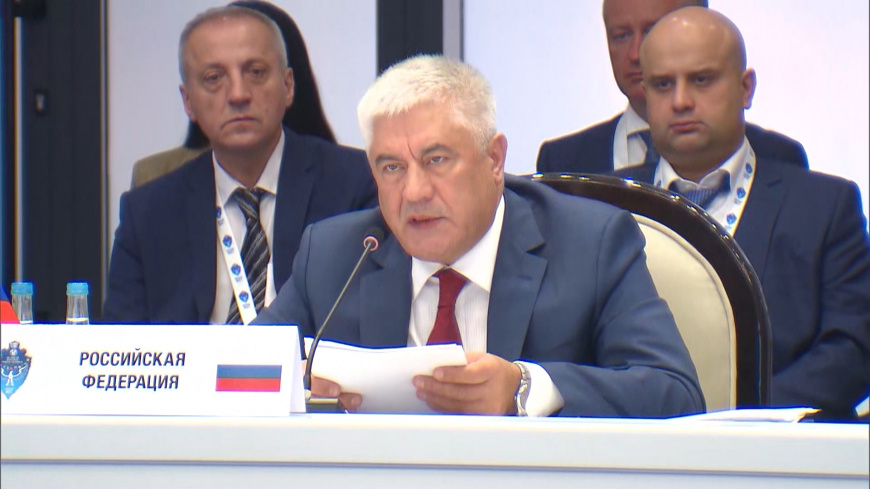 Владимир Колокольцев выступил на заседании Совета министров внутренних дел государств–участников СНГ