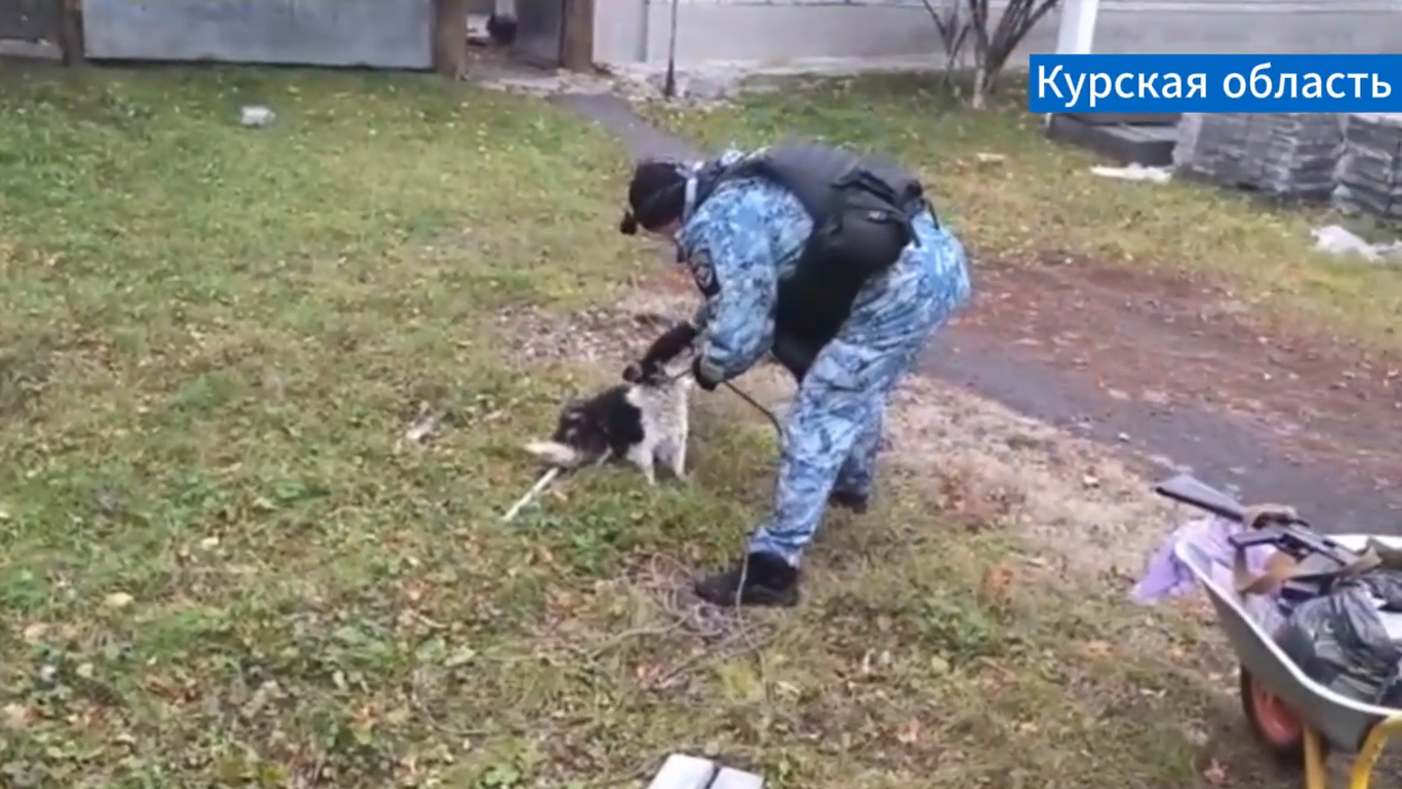 Ирина Волк: В Курской области сотрудники полиции помогают всем, кто нуждается