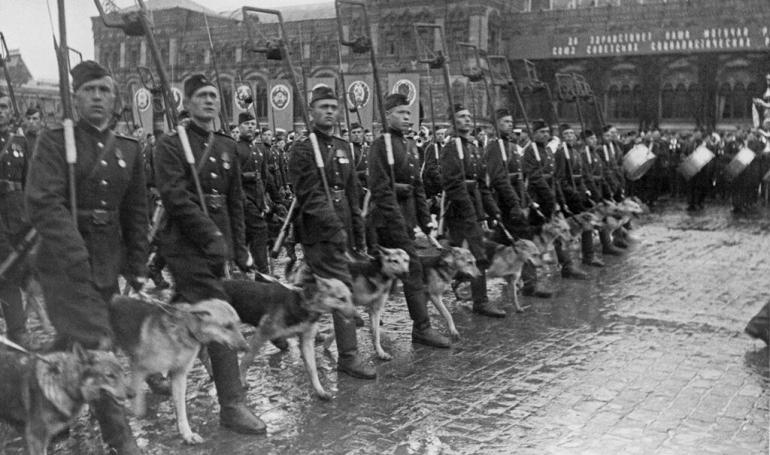 Живая техника