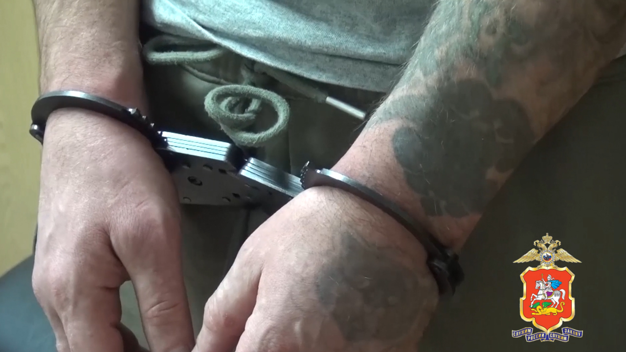 Подмосковные и столичные полицейские задержали в Тульской области серийных воров