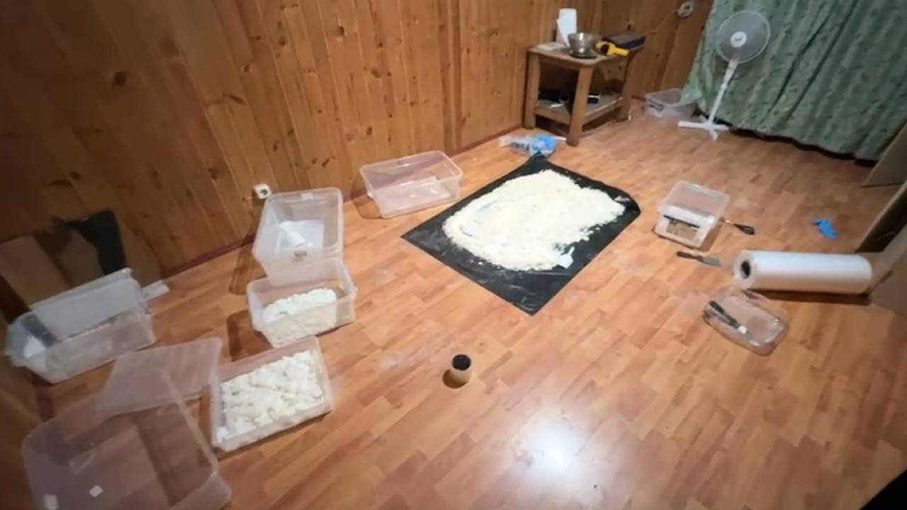 В подмосковном Домодедове полиция ликвидировала нарколабораторию, располагавшуюся в частном доме