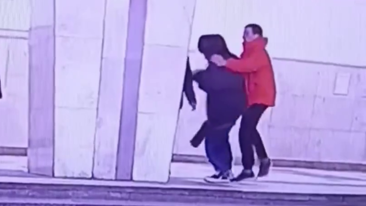 За грабёж задержаны два постояльца хостела в Москве, сорвавшие меховую шапку с головы пассажира метро