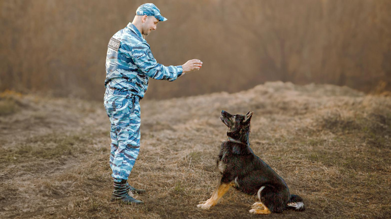 Жансар на день рождения