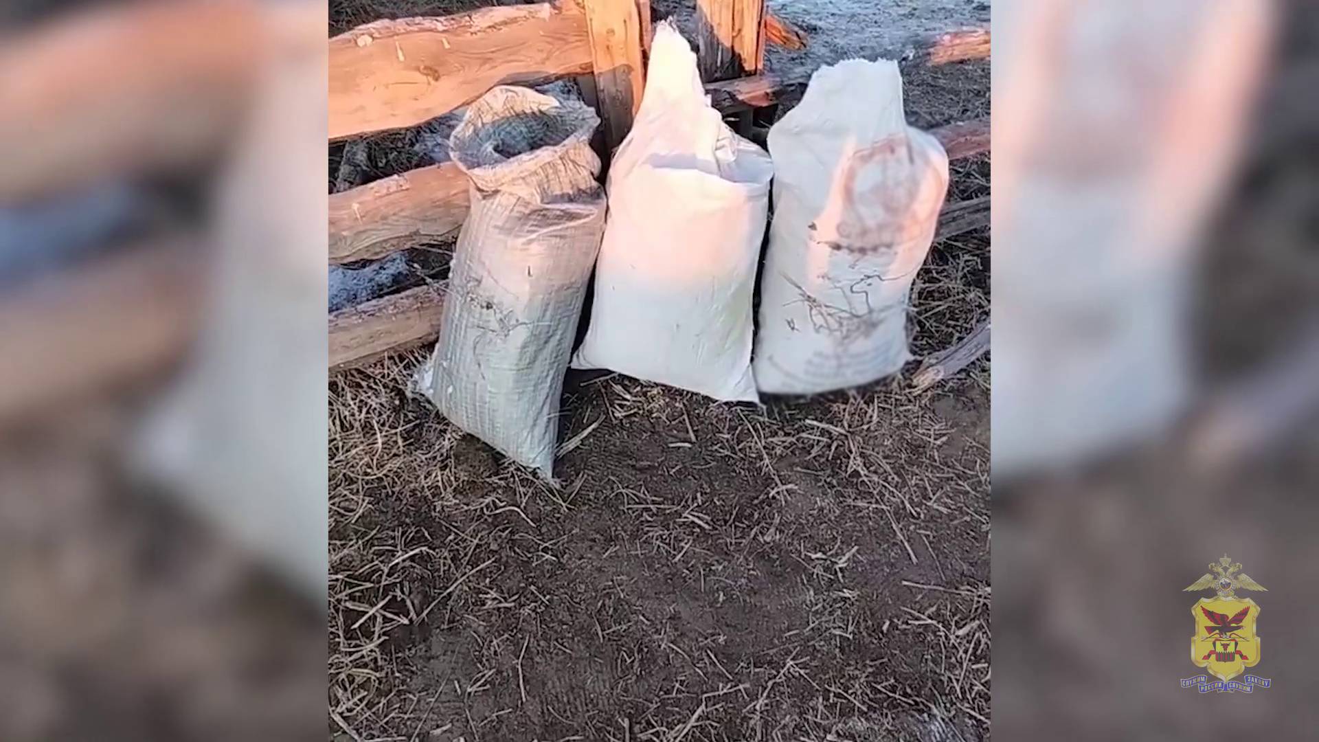Полиция Забайкальского края задержала мужчину, прятавшего три мешка с марихуаной в стоге сена