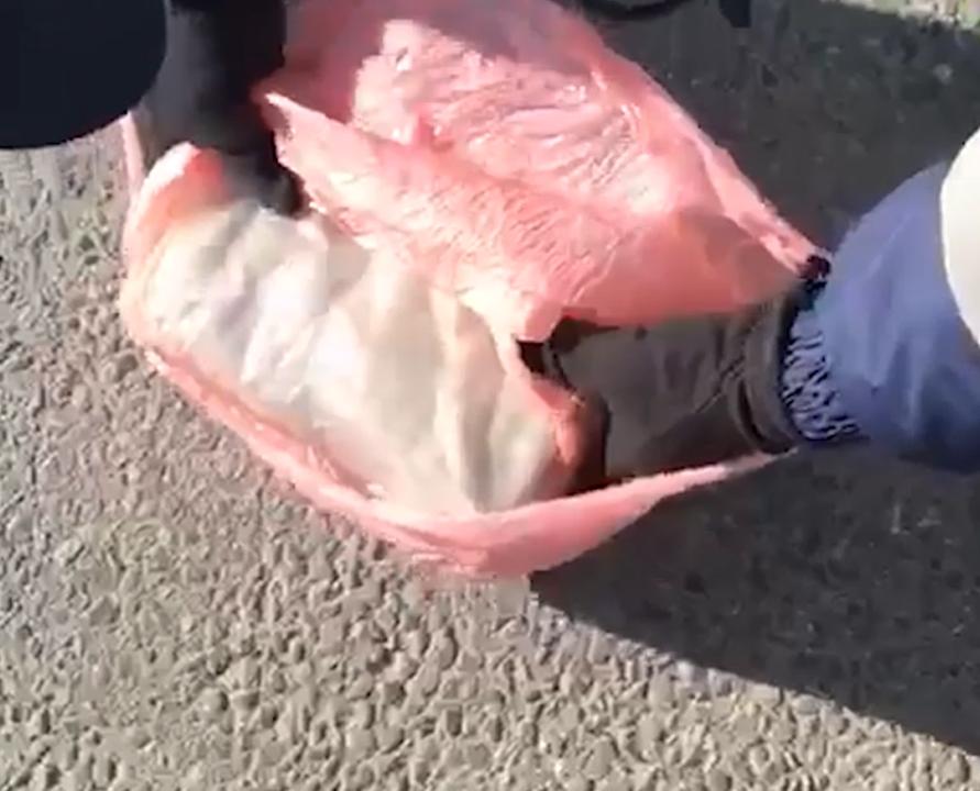 В Татарстане задержан наркокурьер, прикрывший свой криминальный вояж поездкой с отцом в Подмосковье