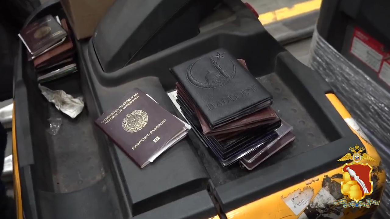 В Воронежской области полицейские привлекли к ответственности нелегальных мигрантов