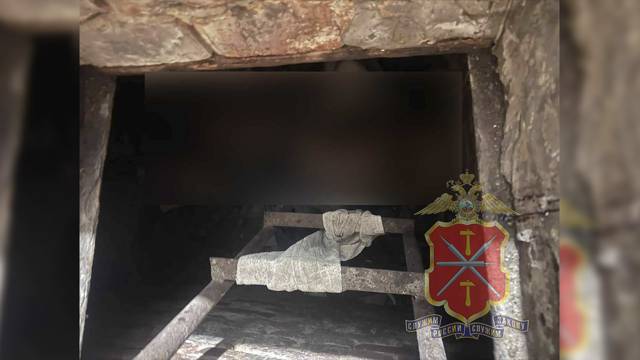 Тульские полицейские задержали предполагаемых участников жестокой расправы над двумя сельчанами