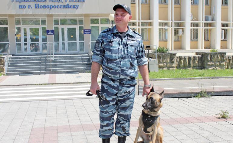 Посмотрите в глаза собаке